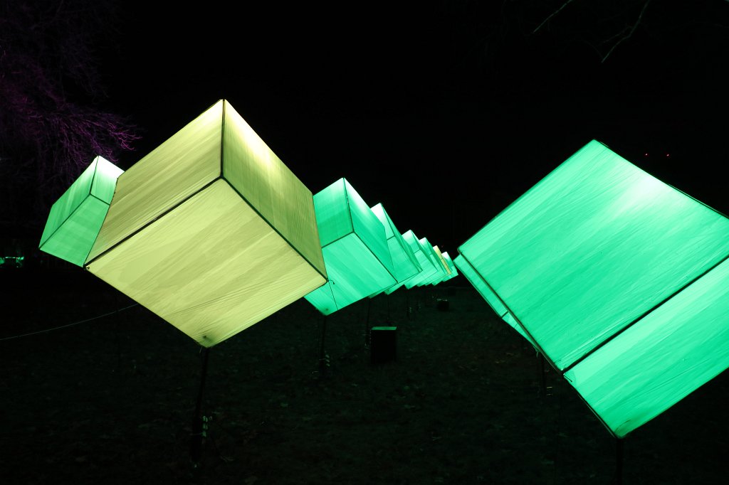 574B8473.JPG -  Palmengarten  Winterlichter 2018/2019