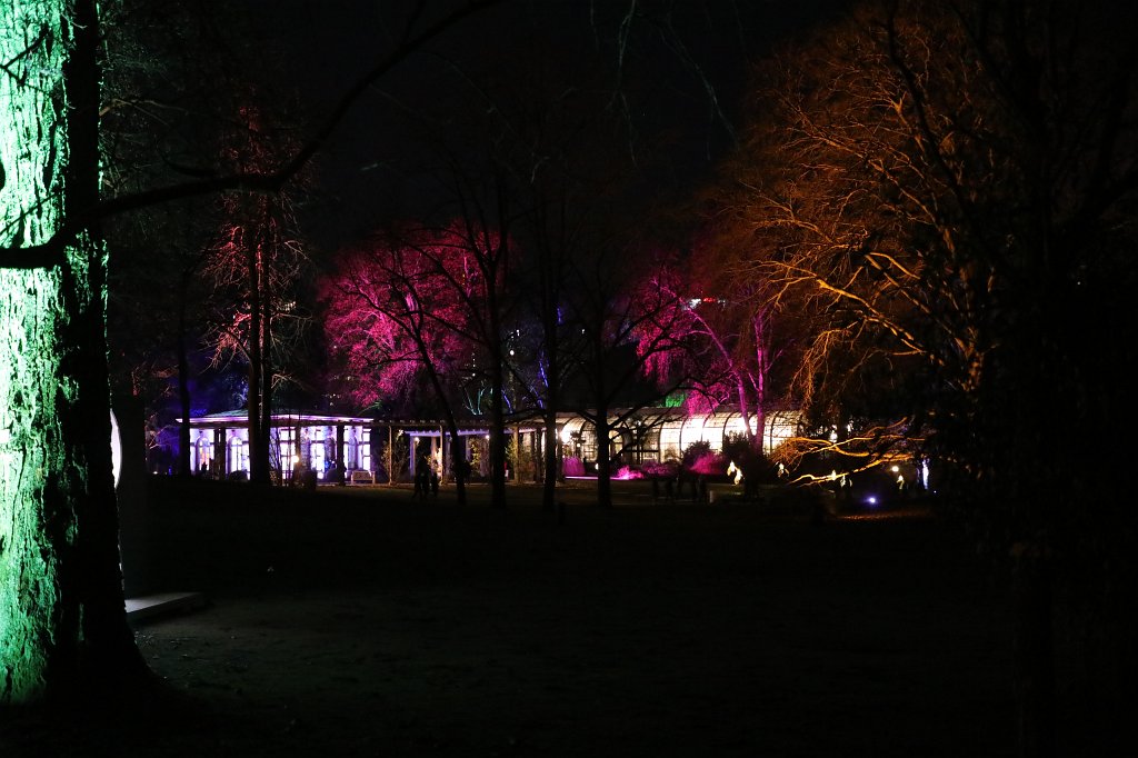 574B8479.JPG -  Palmengarten  Winterlichter 2018/2019