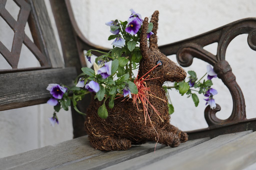 574B9688.JPG - Resting with flowers