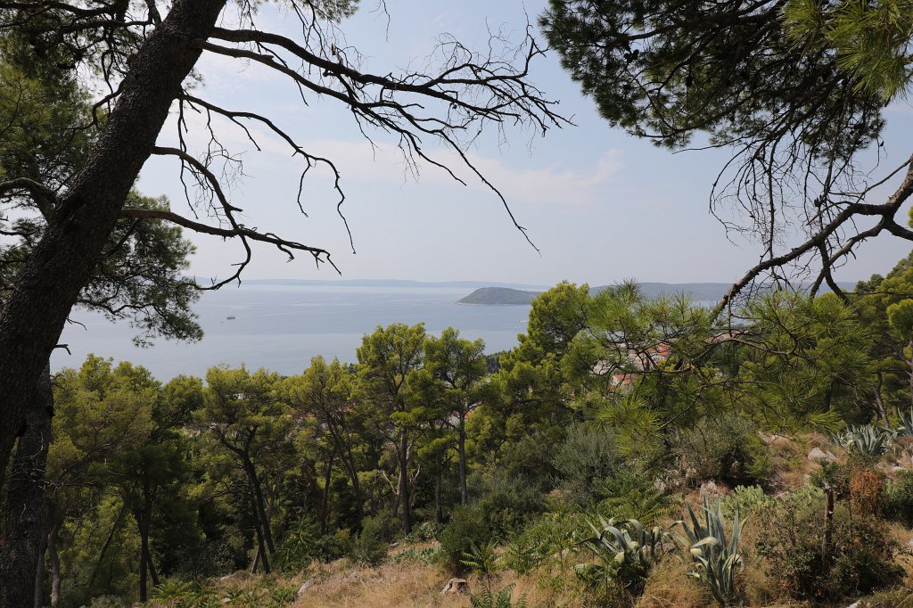 574B2559.jpg -  Marjan 