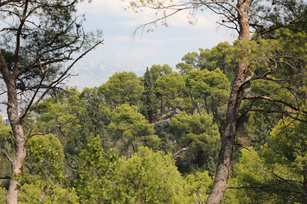 574B2630.jpg -  Marjan 