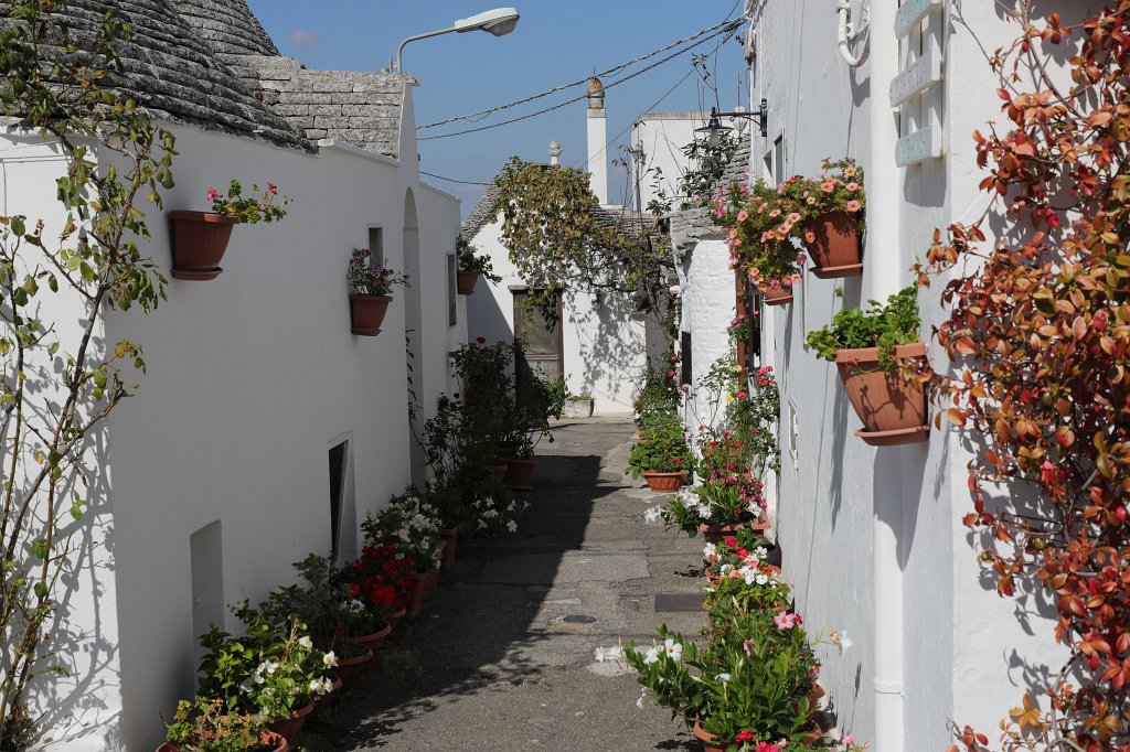 574B3987.JPG - The  Trulli  of  Alberobello 