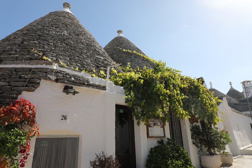 574B4000.JPG - The  Trulli  of  Alberobello 