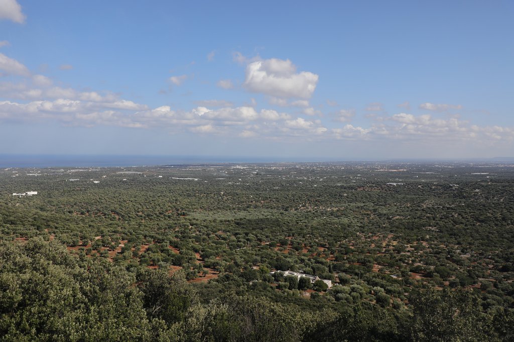 574B4005.JPG -  Terra di Bari 