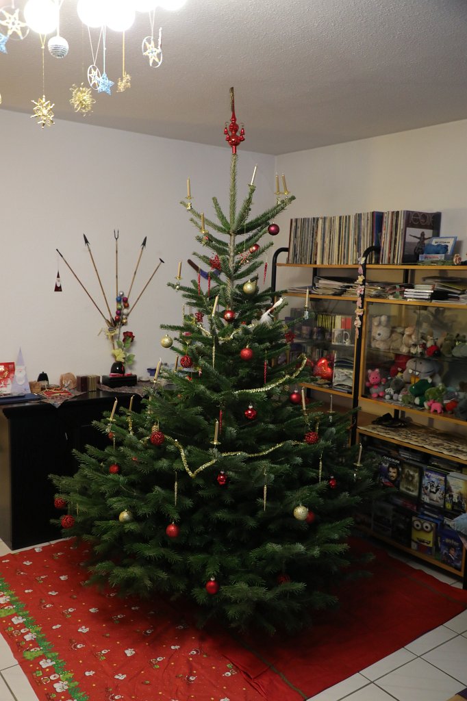 574B4625.JPG - Weihnachtsbaum